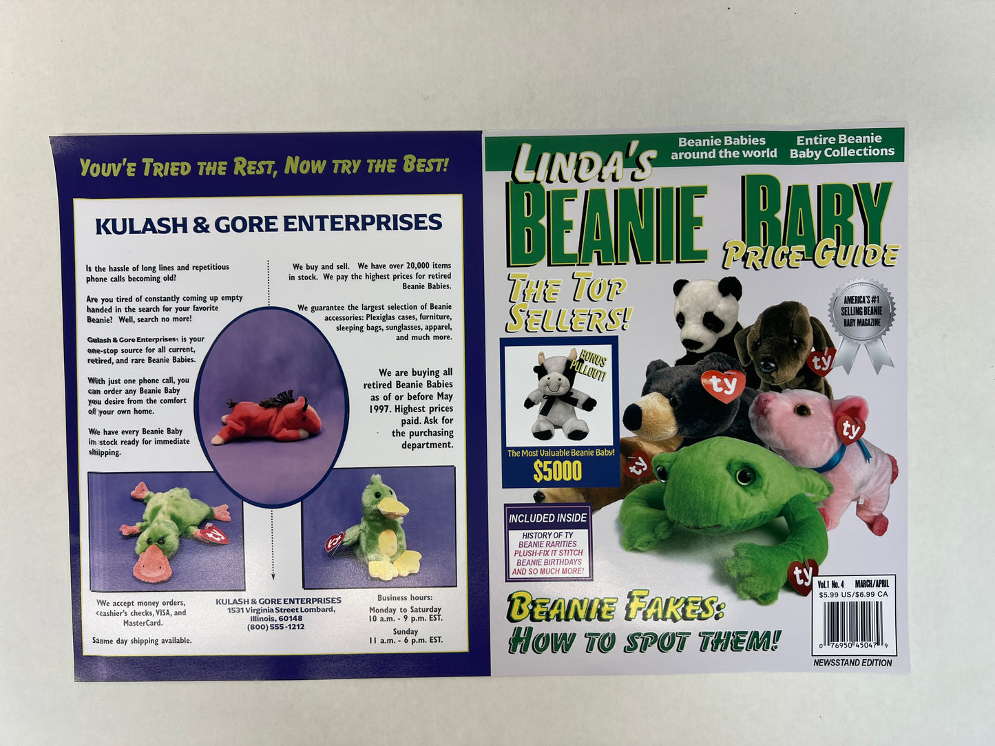 Linda's Beanie Baby Price Guide The Beanie Bubble (2023) Movie Prop Y'allywood Props Green Cover Production Backup