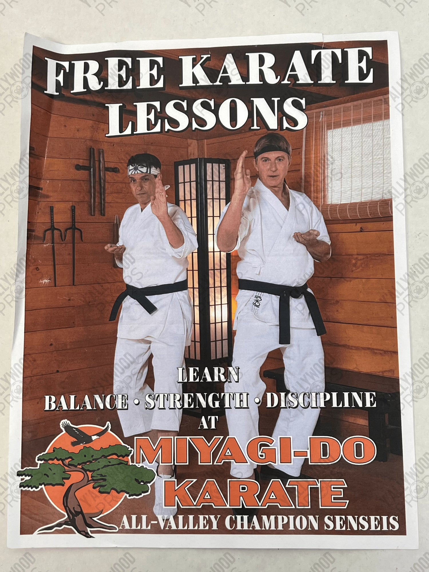 Daniel & Johnny Miyagi-Do Flyer S6E4 Cobra Kai Movie Prop Y'allywood Props Decent Condition