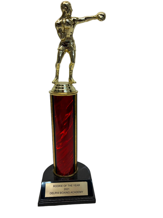 Delphi Boxing Academy Trophy Creed III (2023)