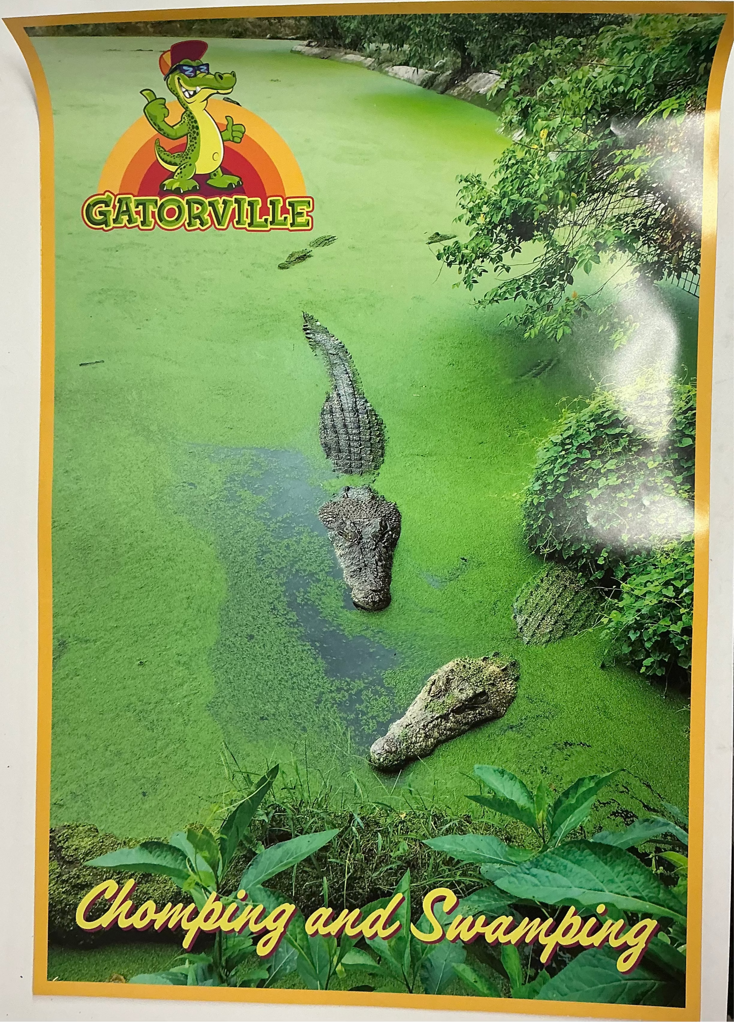 Gatorville Posters Bad Boys 4 Ride or Die (2024) Movie Prop Y'allywood Props Chomping & Swamping