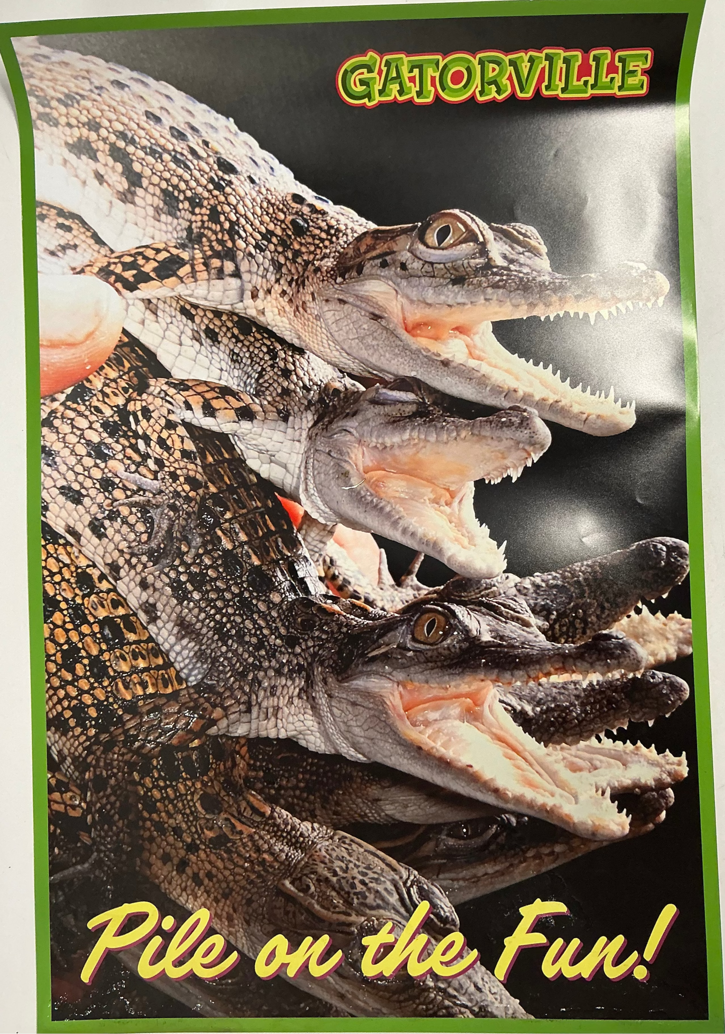 Gatorville Posters Bad Boys 4 Ride or Die (2024) Movie Prop Y'allywood Props Pile on the Fun!