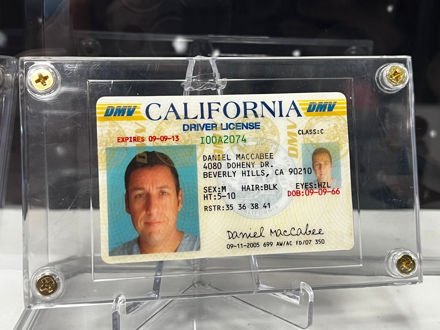 Daniel Maccabee (Adam Sandler) Drivers License, from Just Go With It Movie Prop Y'allywood Props   